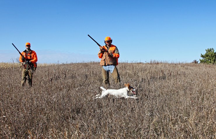 18fb97a1-7cc0-4473-b99e-ffa03f284094