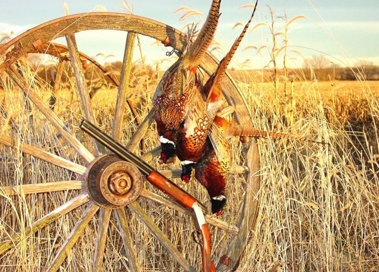 2b511778-5185-40df-a5e3-26fcb7980147