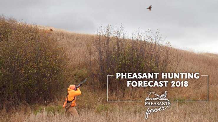 bdcf0224-af72-40e5-8e02-0afffcaaa736