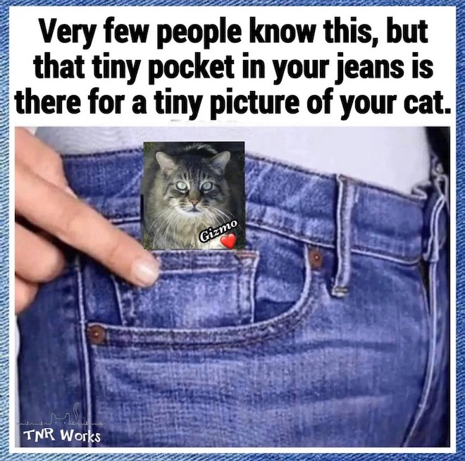 Screenshot-2022-10-17-at-4-00-03-PM.jpeg