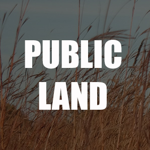 Build a Wildlife Area