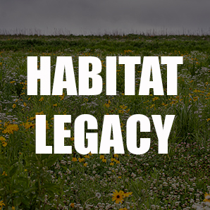 Build a Wildlife Area